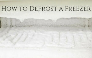 Defrost Freezer